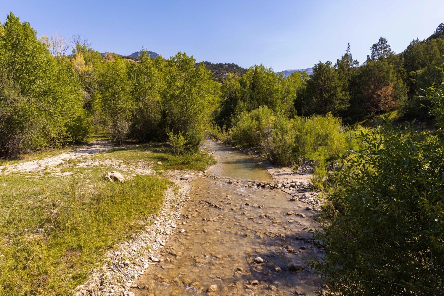 Beaver Creek Road Utah Off Road Map Guide And Tips OnX Offroad Beaver Creek Road Utah Off Road Map Guide And Tips OnX Offroad