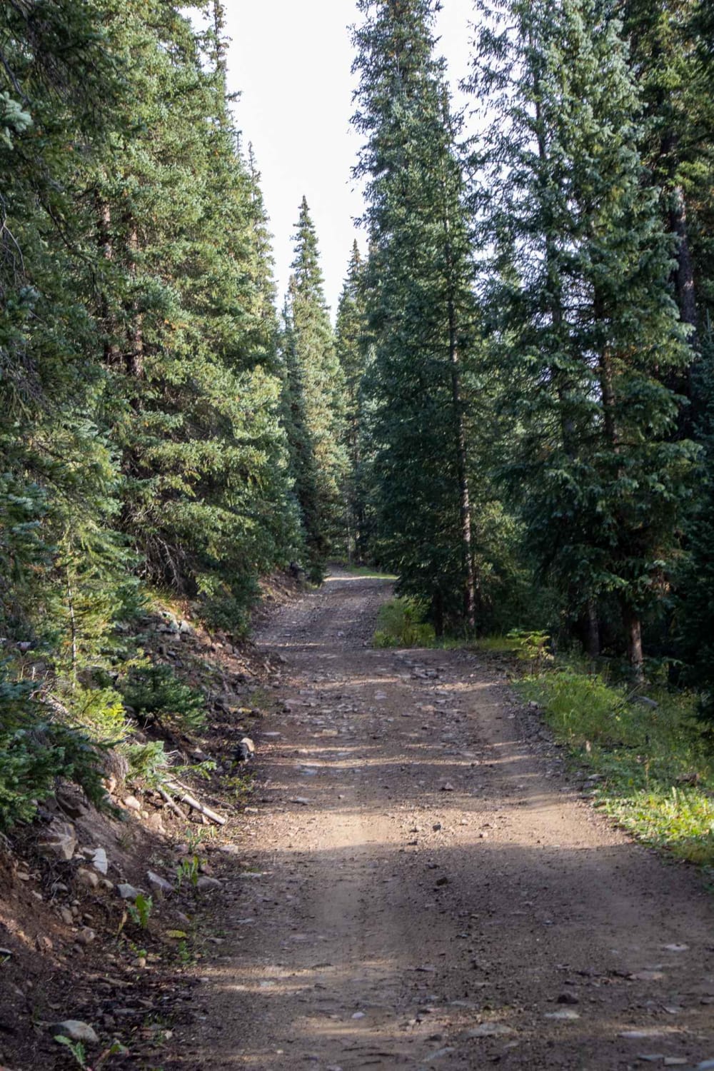 Chattanooga Trail