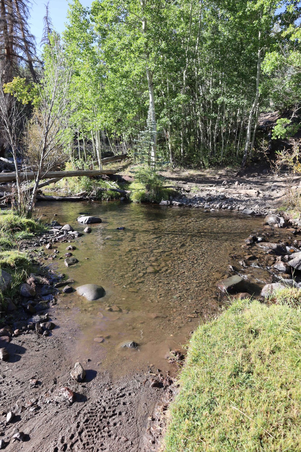 Burro Creek Trail