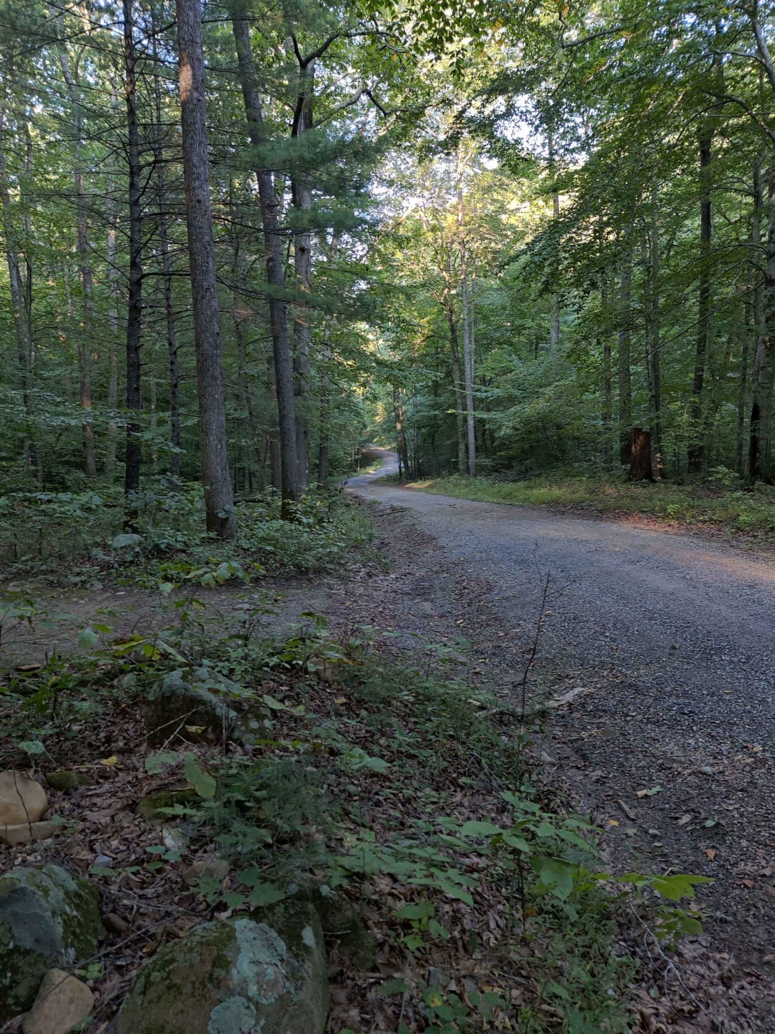 Reservoir Rd. to Irish Creek