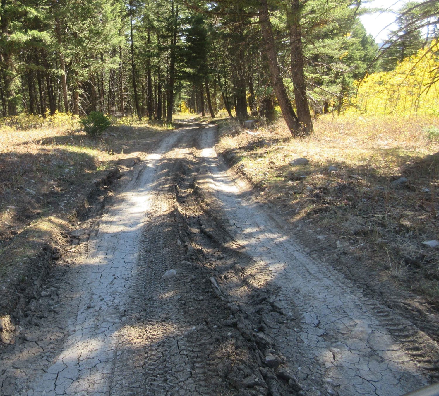 East Fork Dry Creek