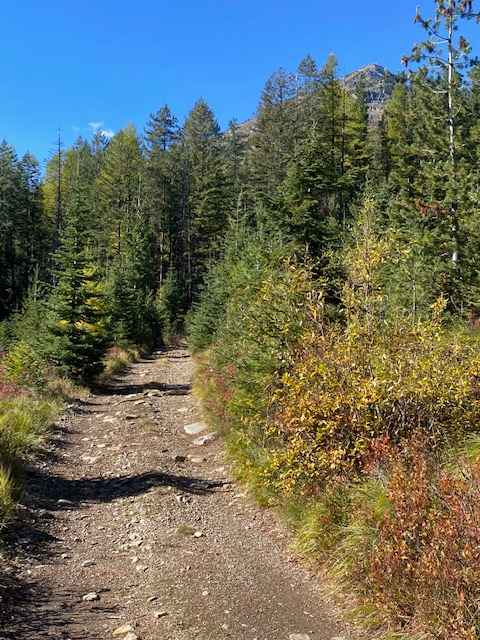 Gloria Mine Trail