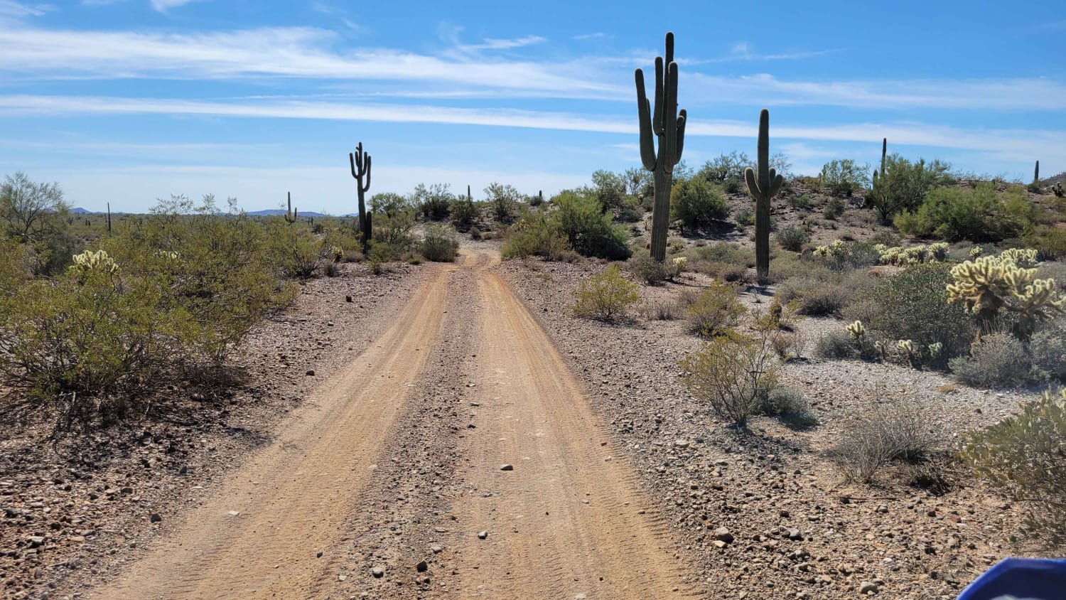 Saguaro Way