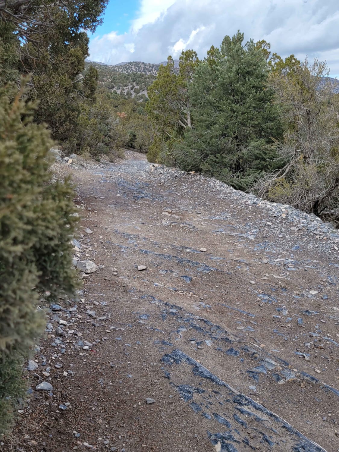 Rocky Road Trail