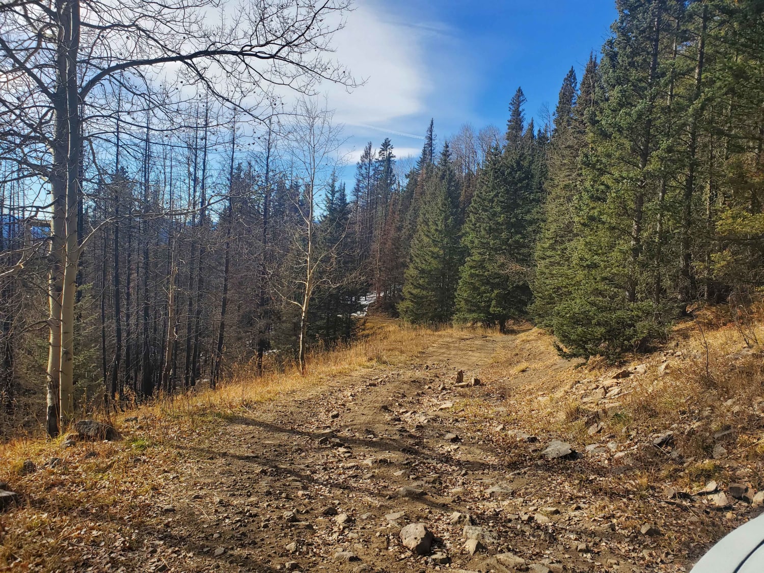 Luna Creek Trail