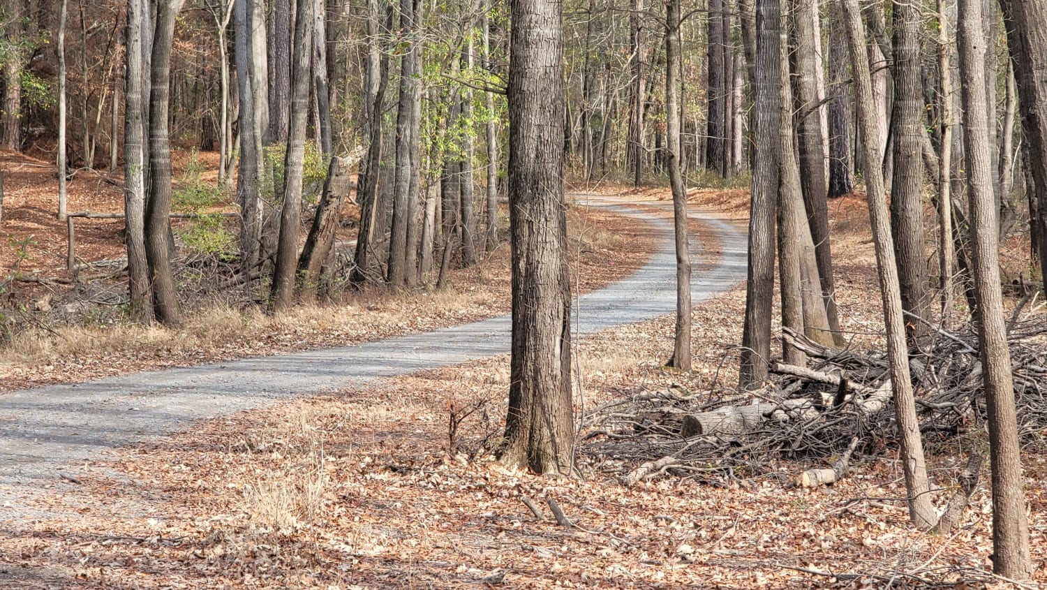 Enter Bodcau Wildlife Management Area