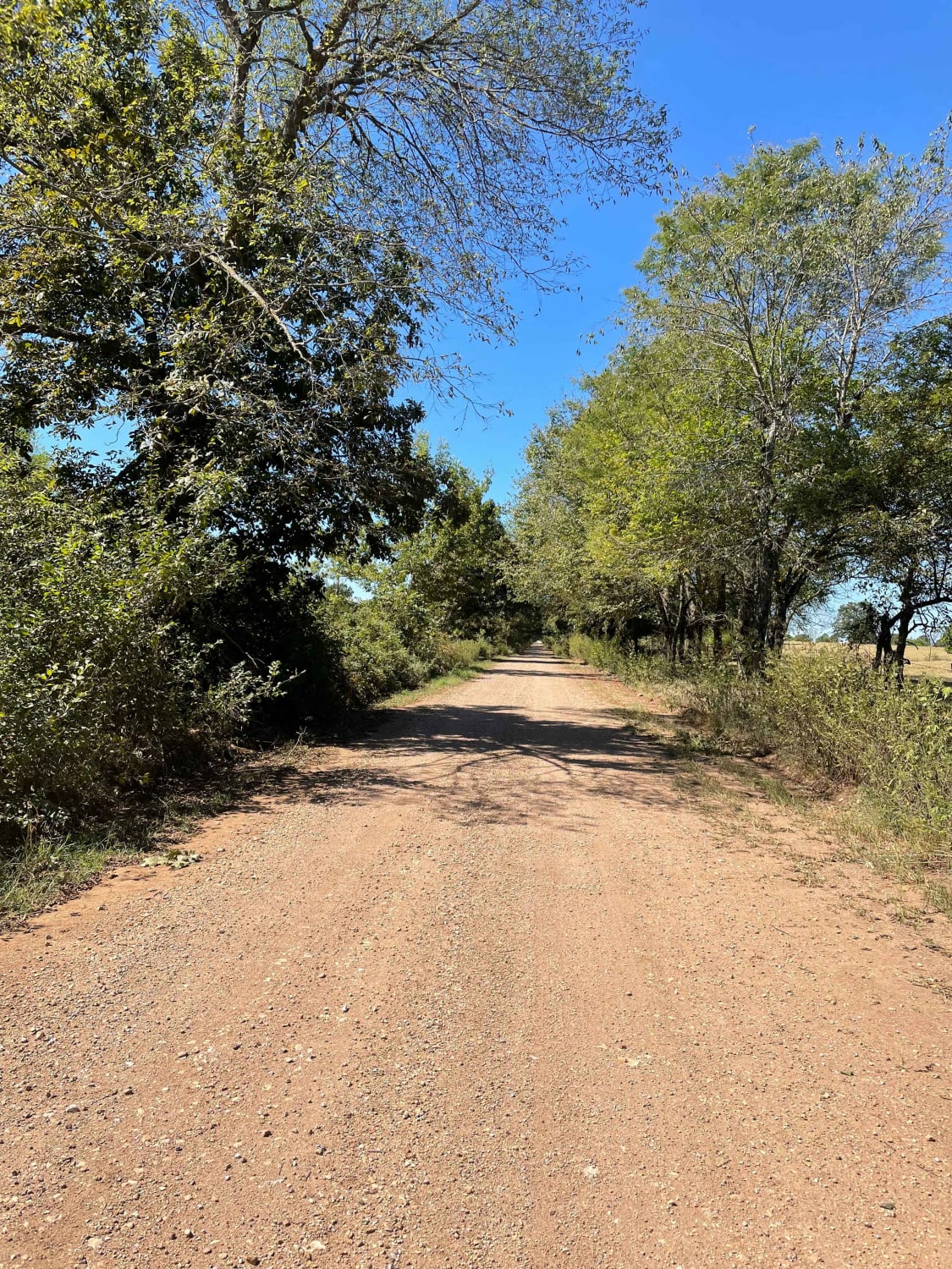 Tsalagi Trail East