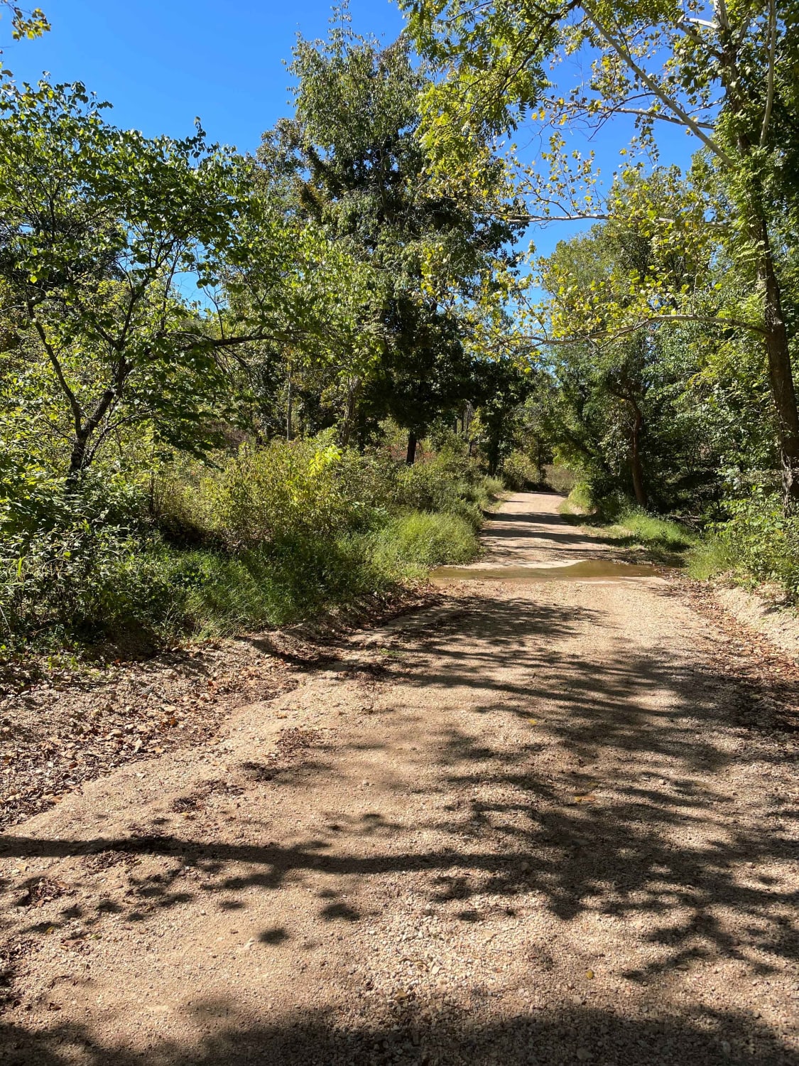 Tsalagi Trail East