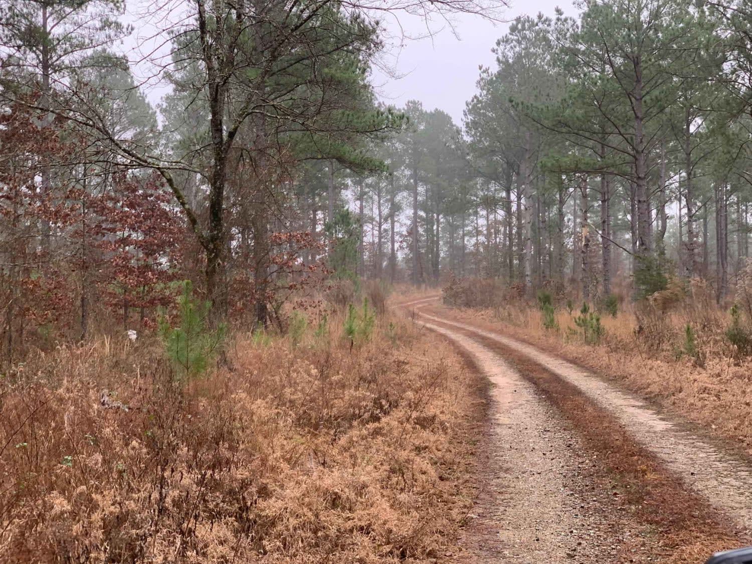 Hidden Camp Trail