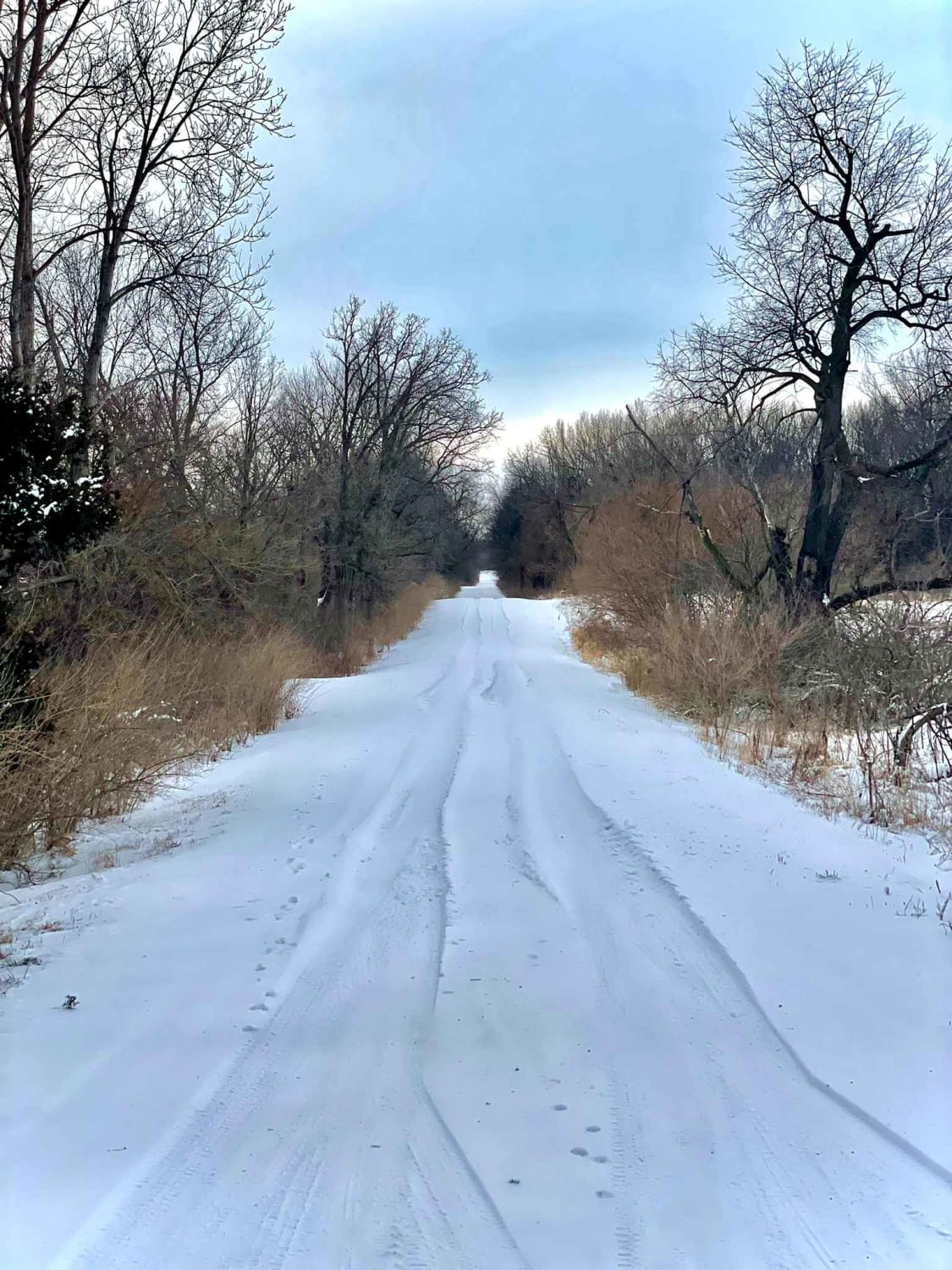 Hawkeye Wildlife Area Loop