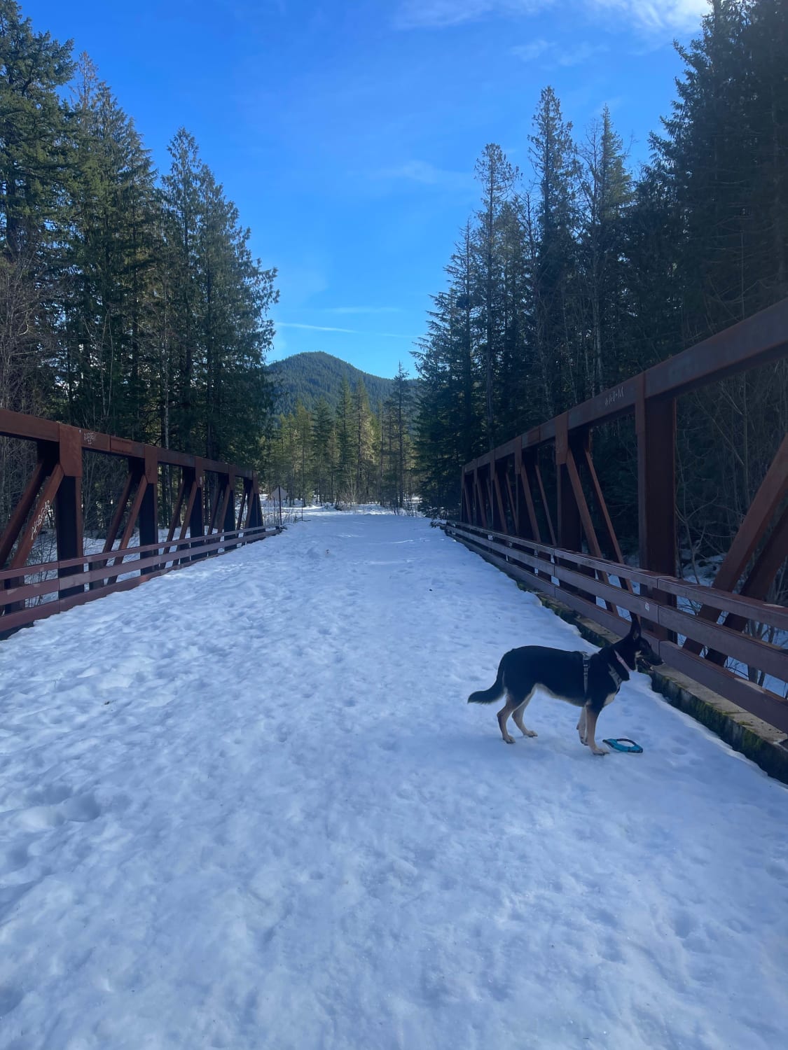 Muddy Fork Road