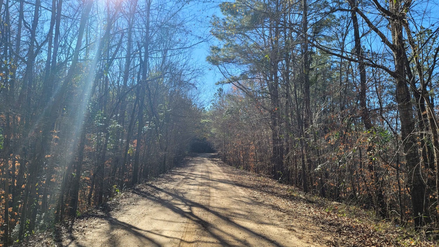 Kisatchie National Forest Camp and Trail