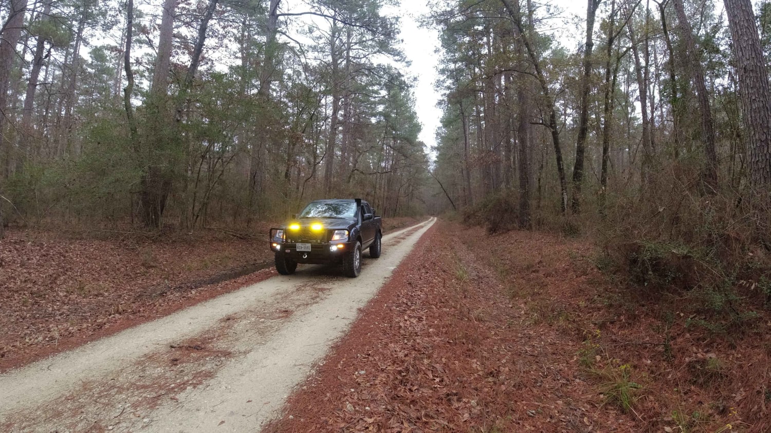Davy Crockett National Forest Route
