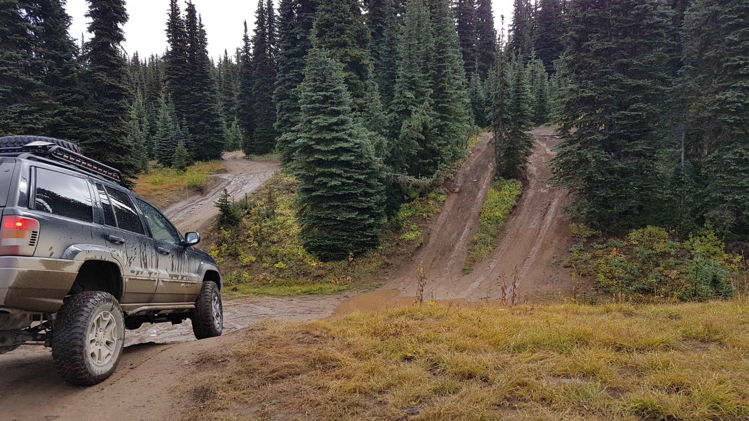Whipsaw Trail