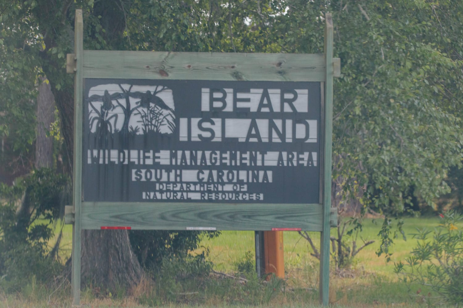 Bear Island WMA