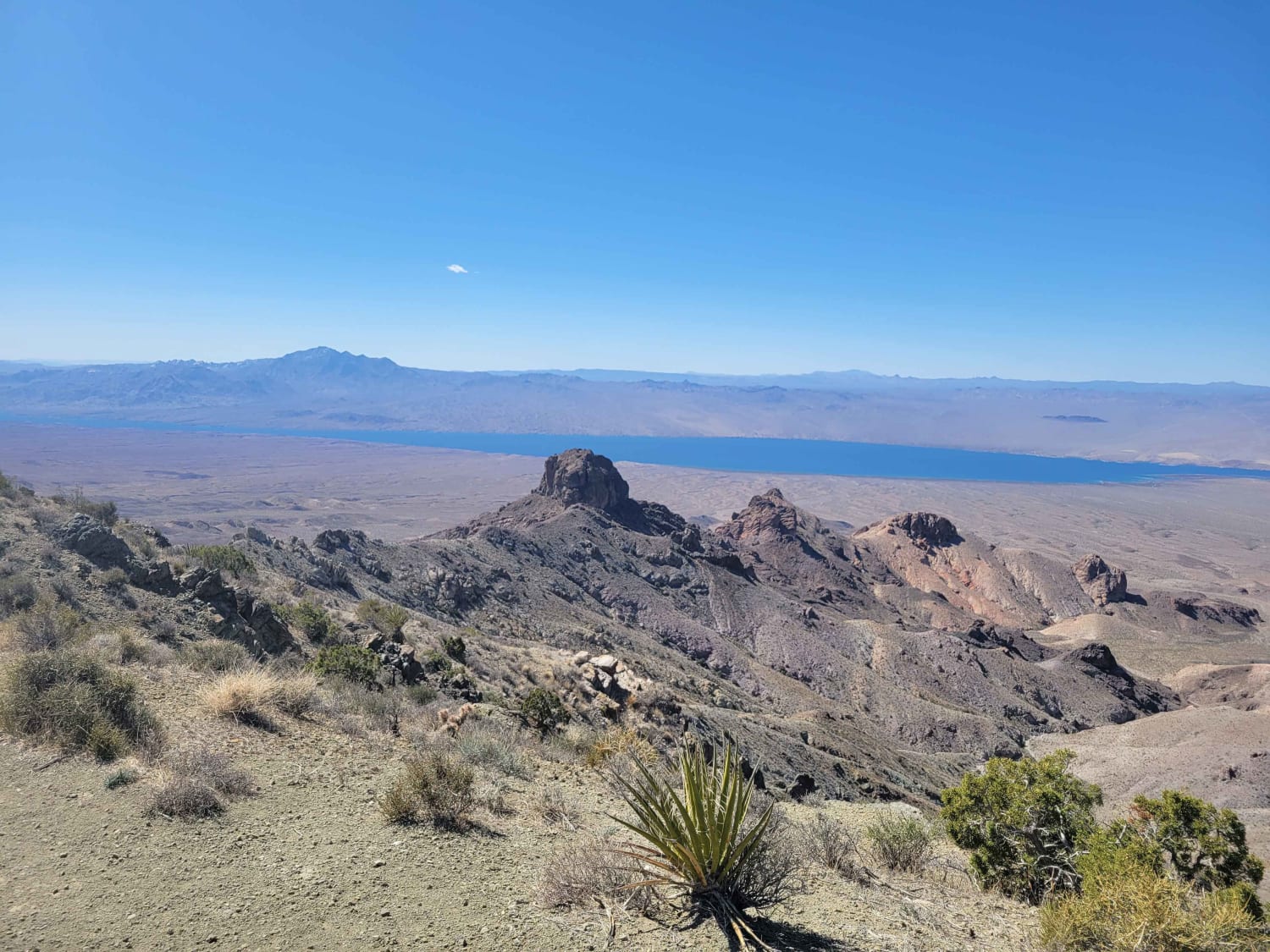 Lake Mead View Trail
