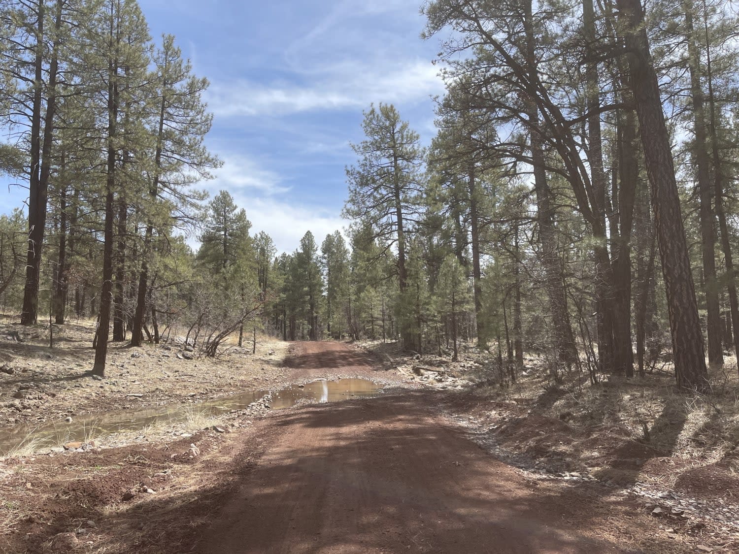 Old 354 Road to Pine Flats