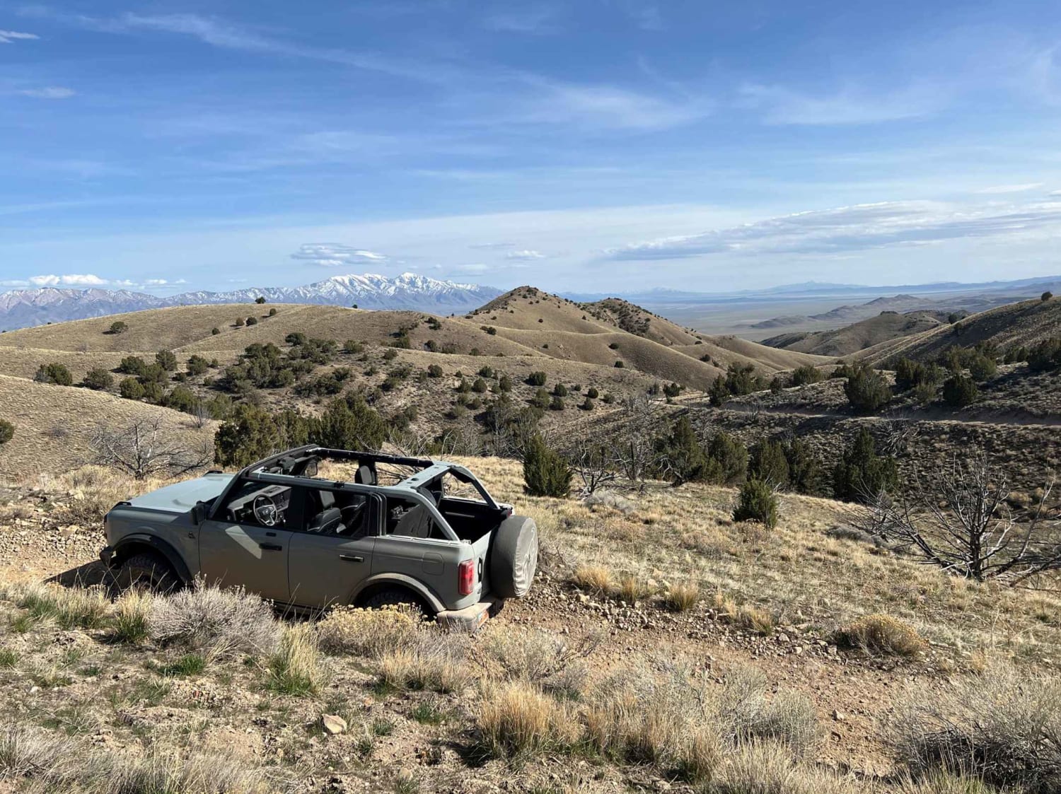 Cedar Pass