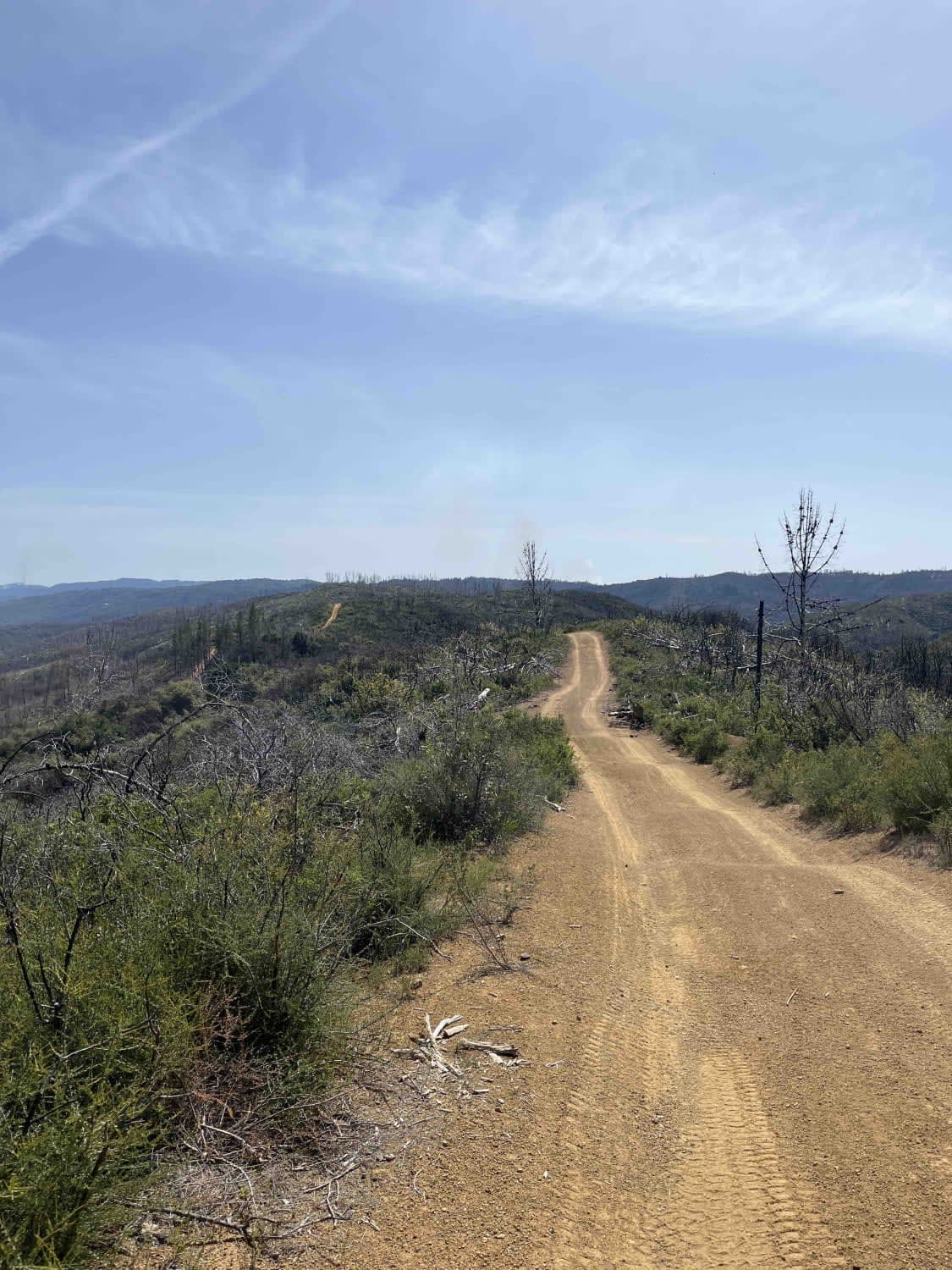 Boundary Ridge, Trail 25