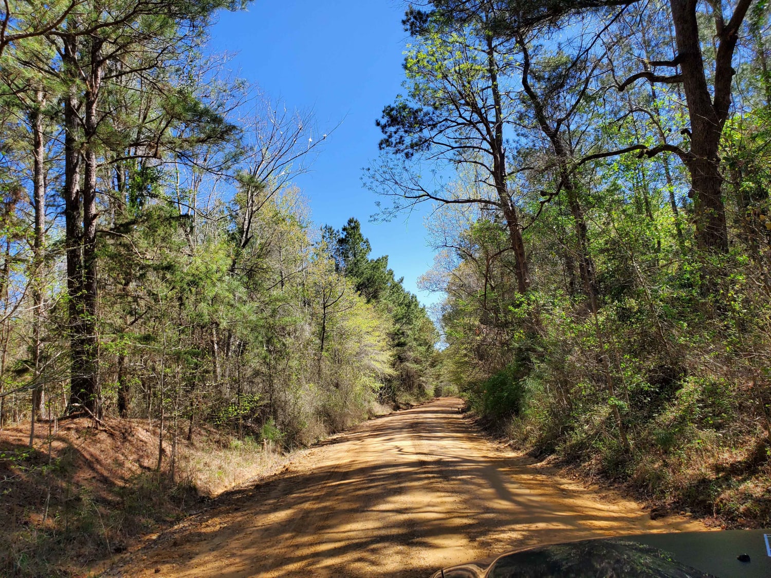 The Arkansas Overland Route - Section 2 - Highway 371 to Road 113