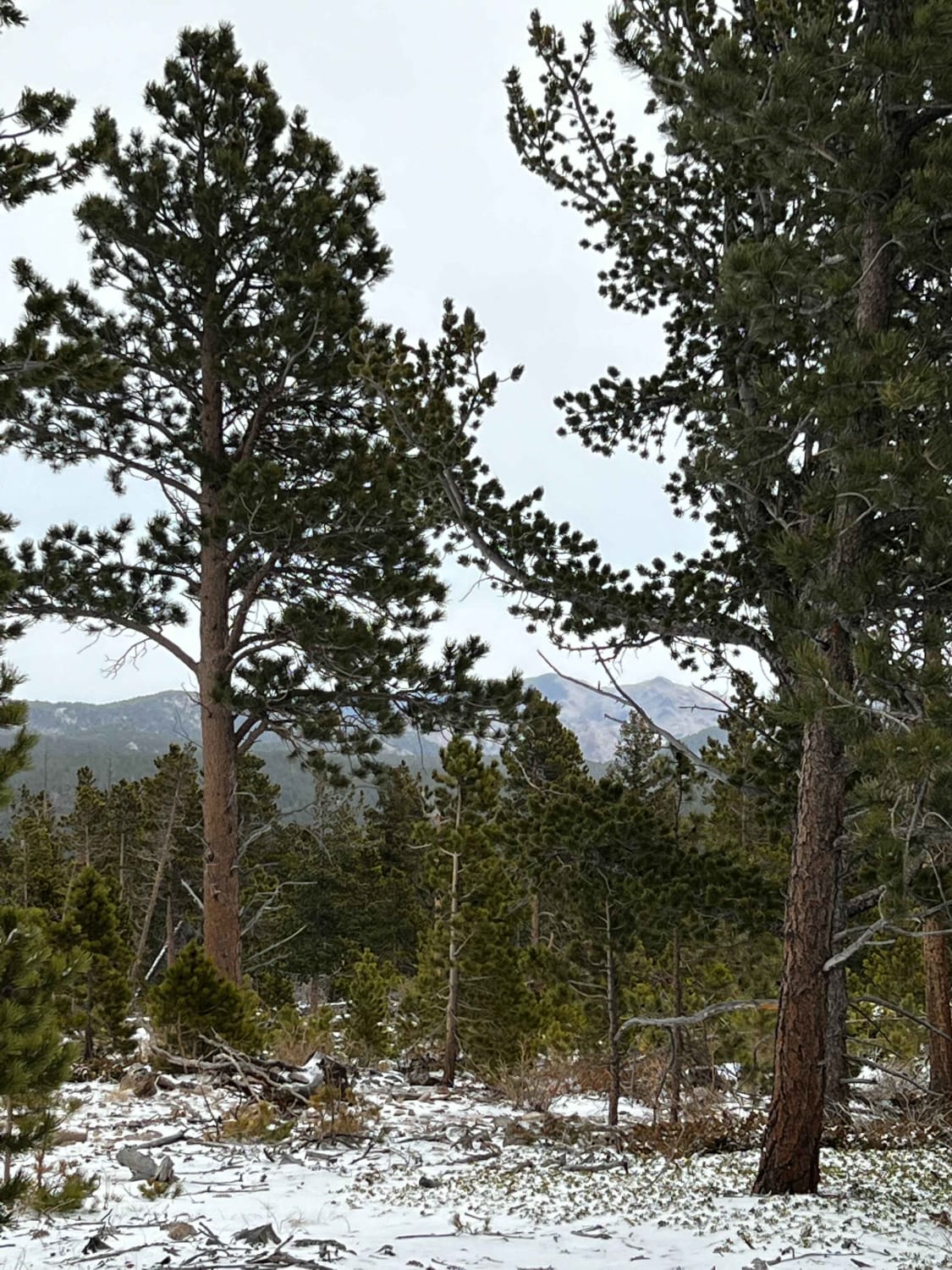 Chipmunk Gulch