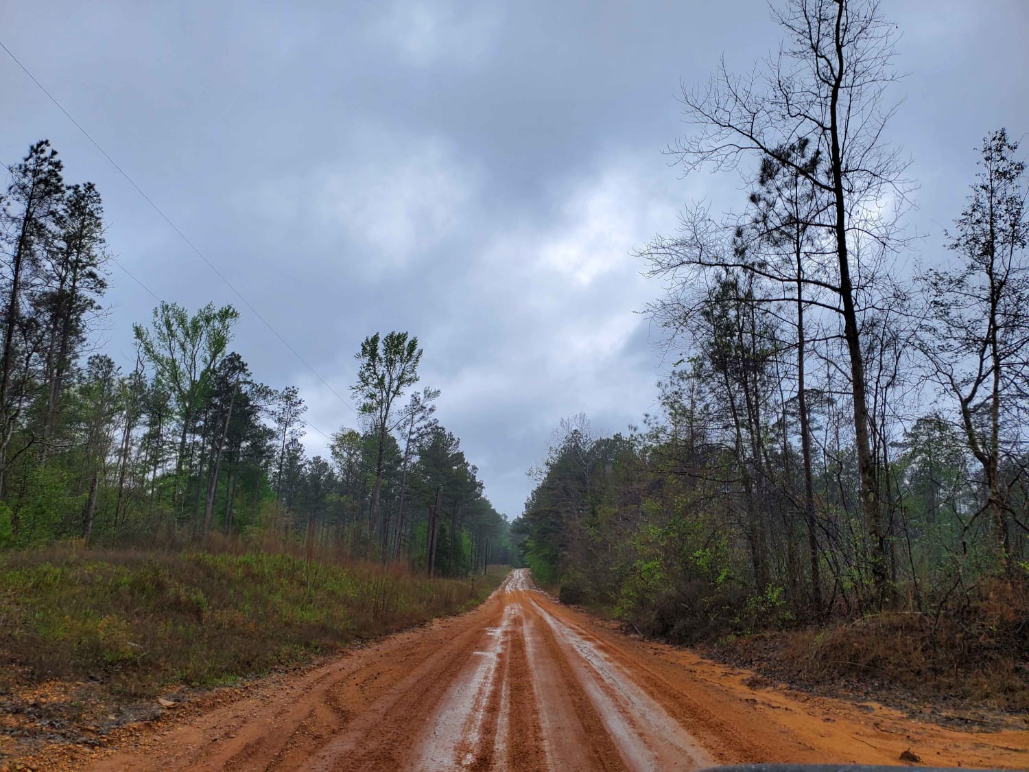 The Arkansas Overland Route - Section 7 - Treck Along Ouachita Road