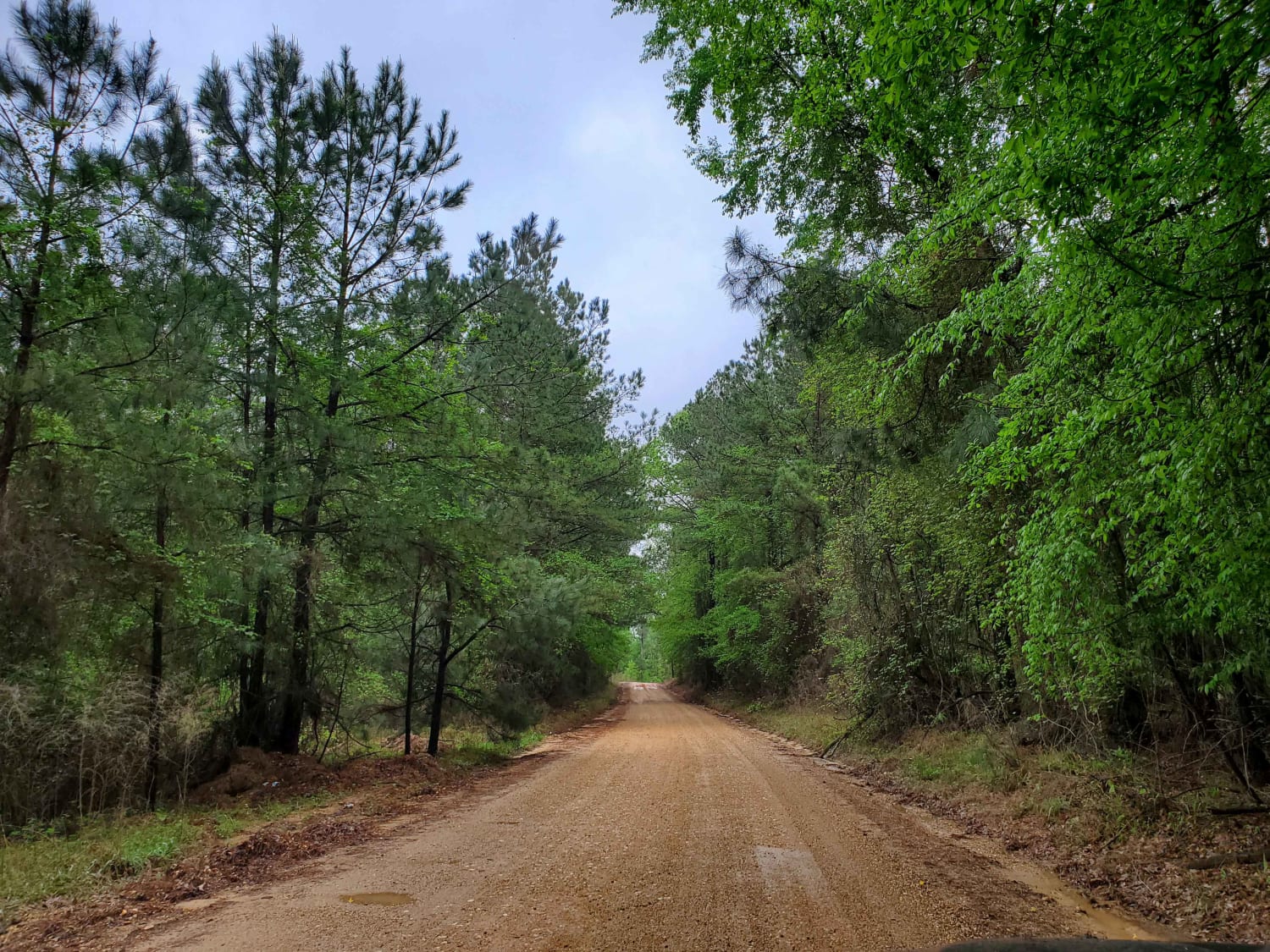 The Arkansas Overland Route - Section 9 - Norphlet Trek