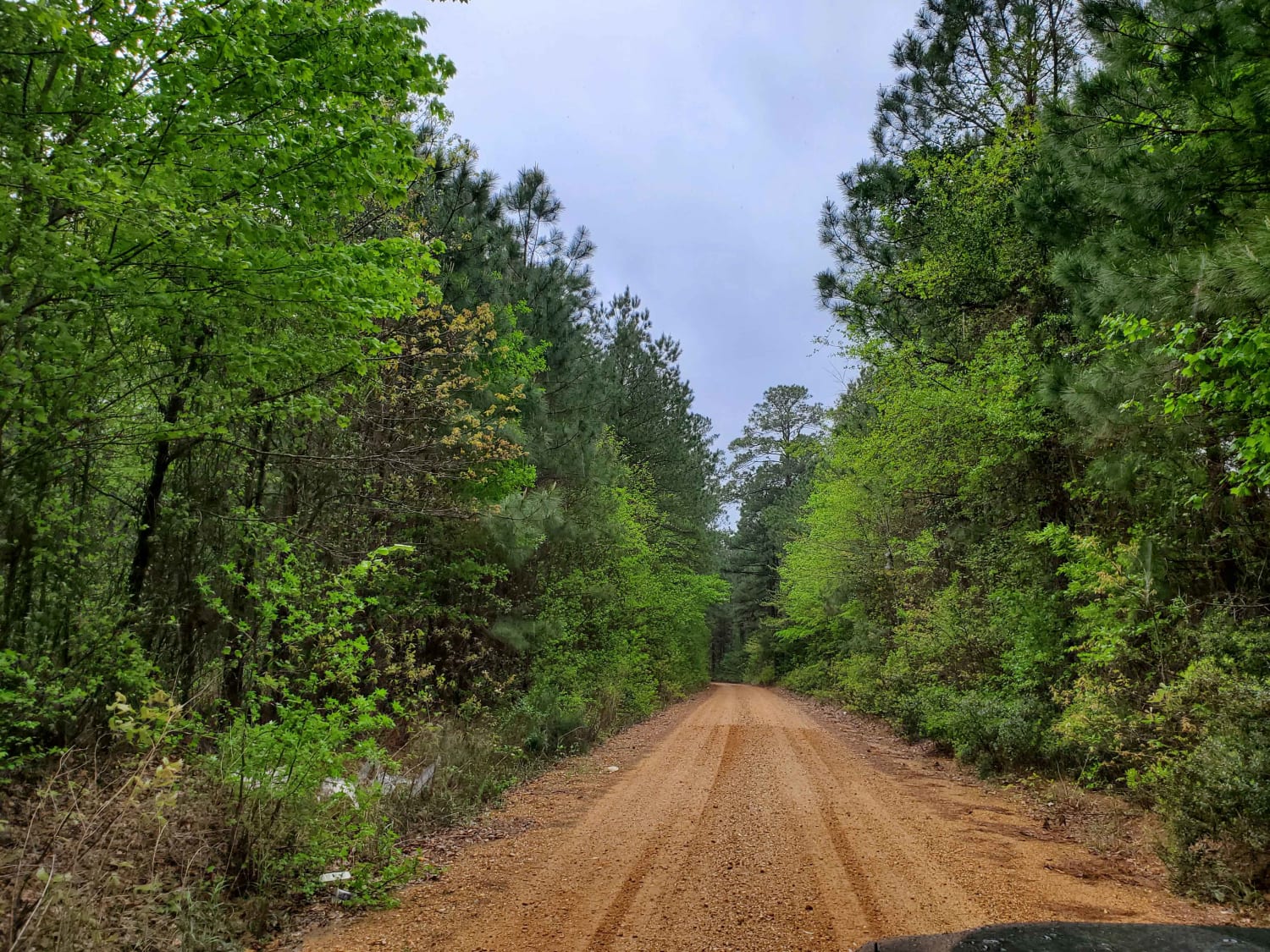 The Arkansas Overland Route - Section 5 - Highway 76 to Highway 278