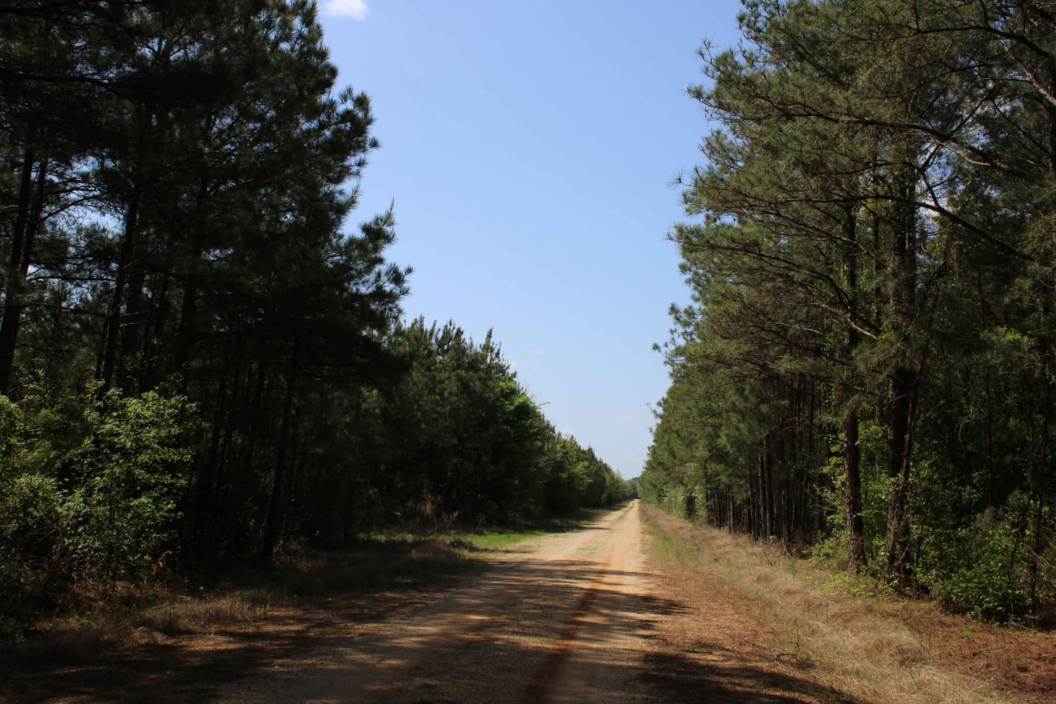 The Arkansas Overland Route - TrailHawk Loop - Section 15