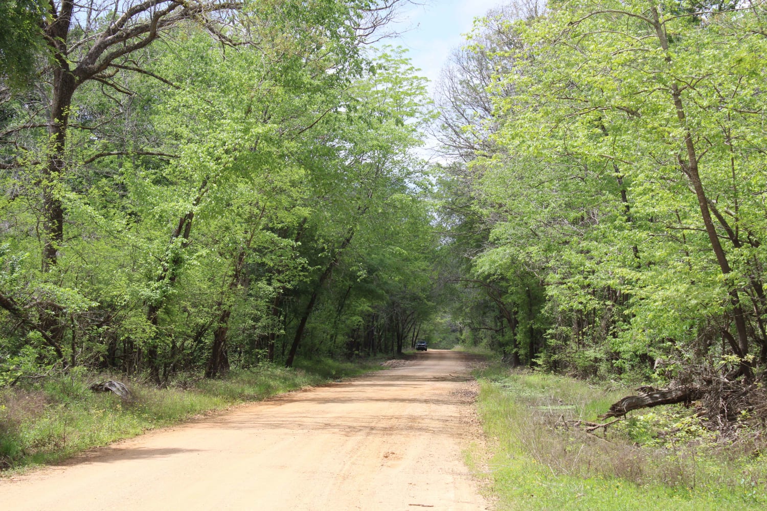 The Arkansas Overland Route - TrailHawk Loop - Section 26