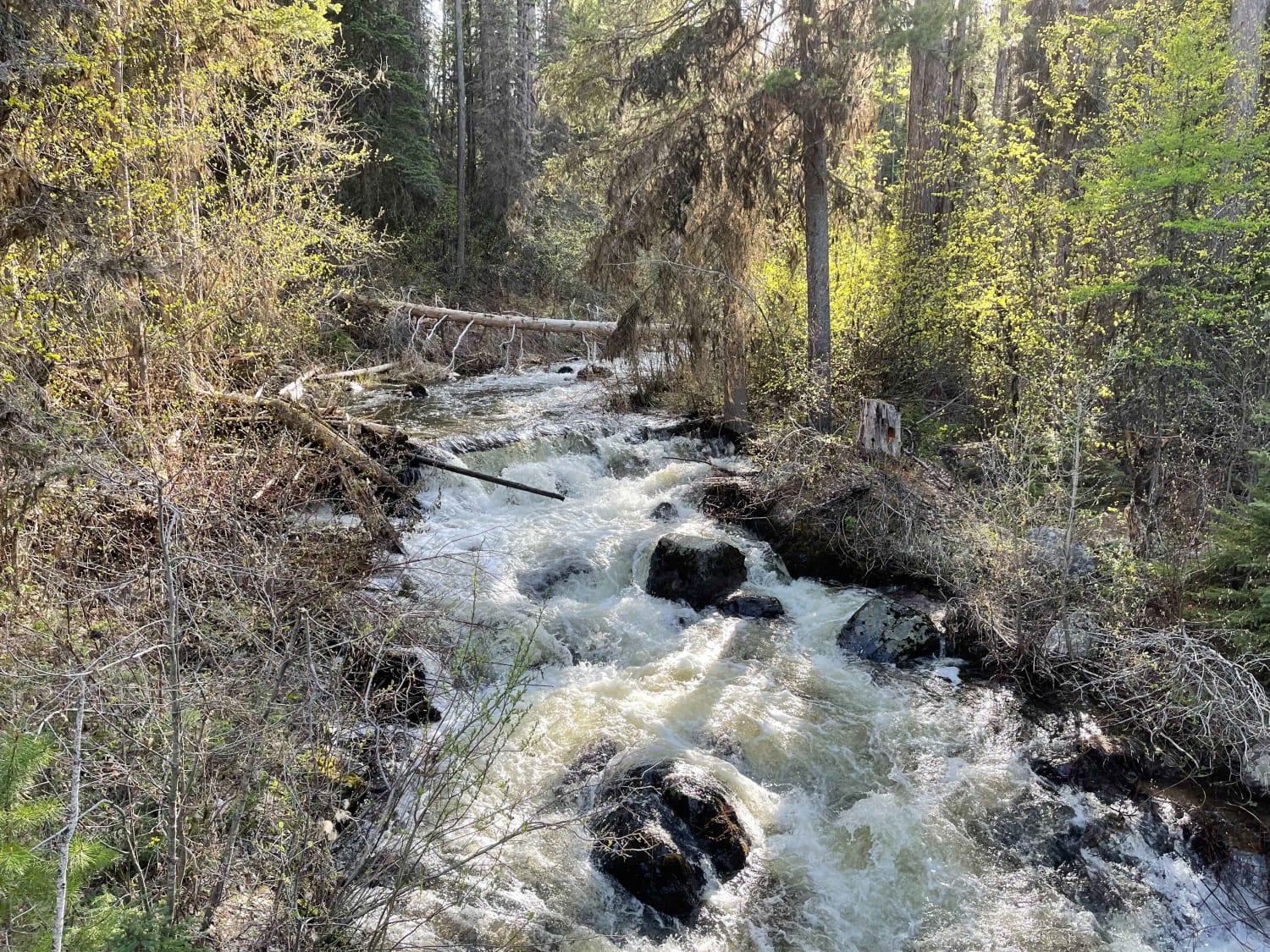 Beaver Creek Trailhead