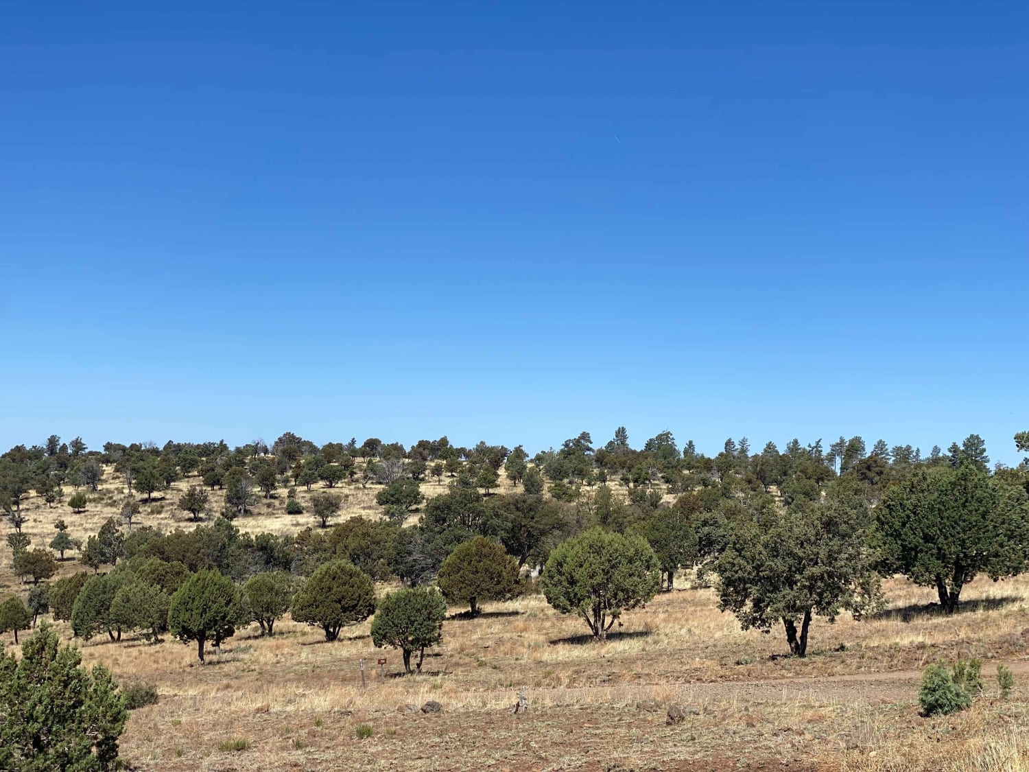 Twin Buttes Hiking Trail