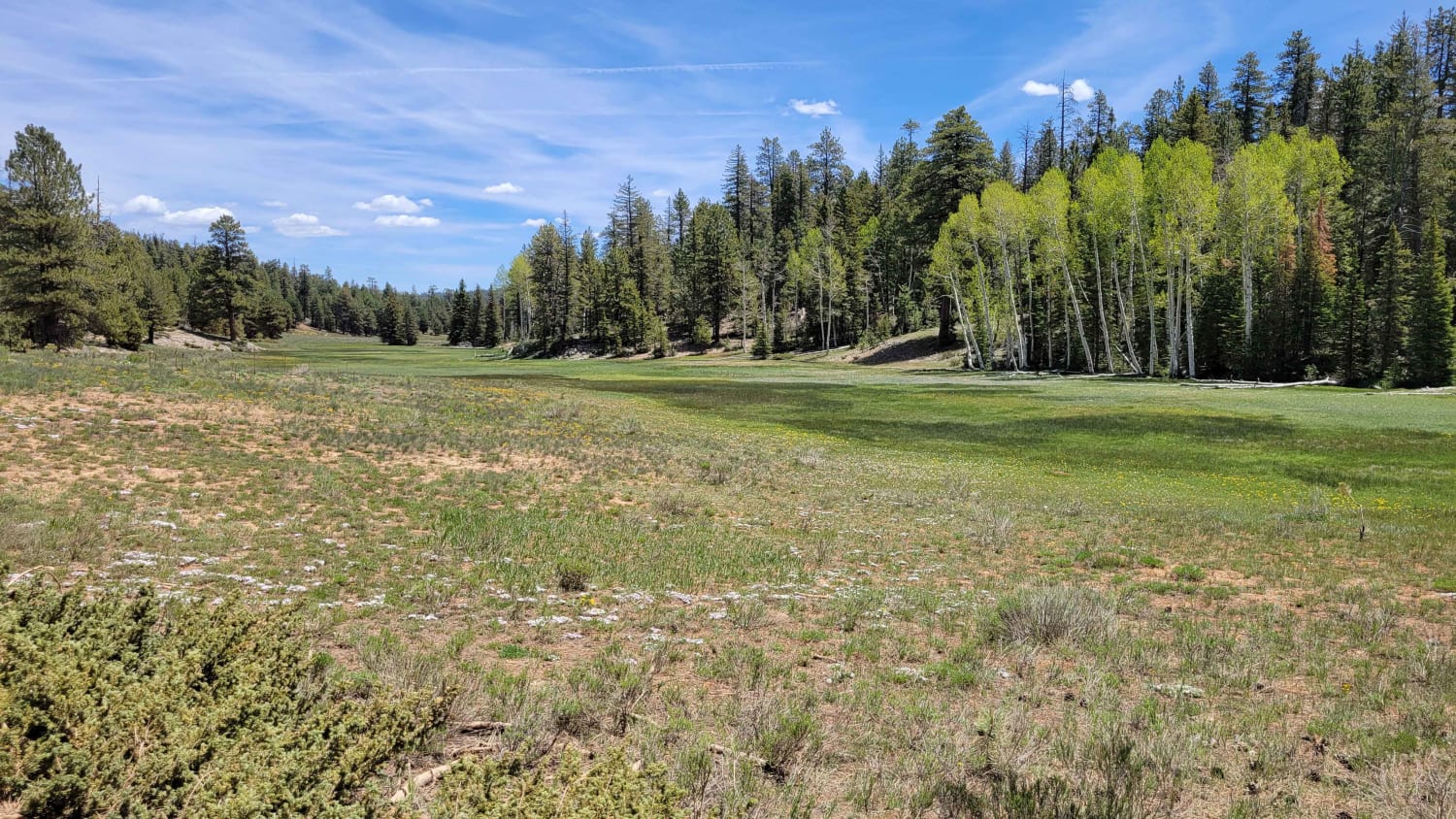 Swains Creek, Utah OffRoad Trail Map & Photos onX Offroad