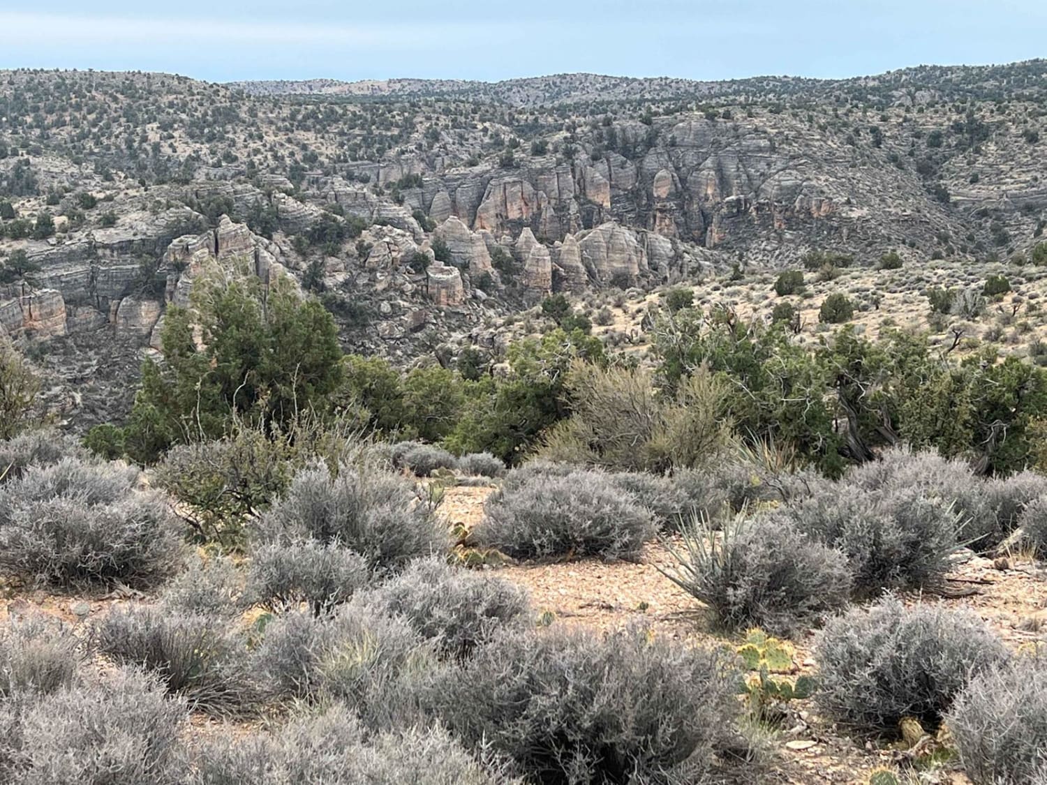 Hole-n-Wall Canyon - Segmiller Mountain