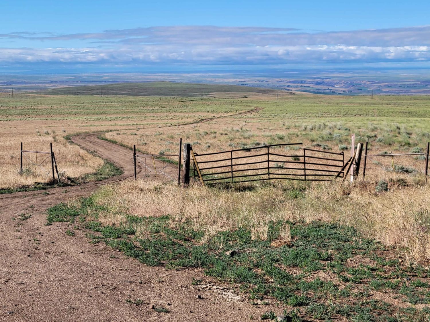 Dempsey Meadow