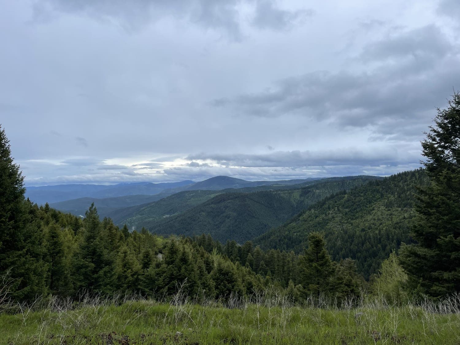 Upper Cave Gulch Road