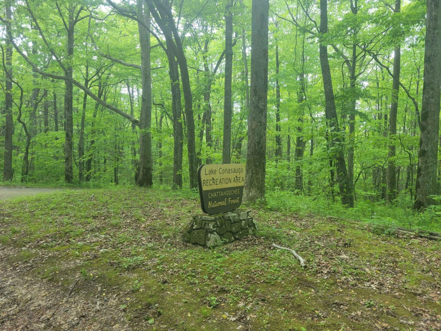 Old CCC Camp Road