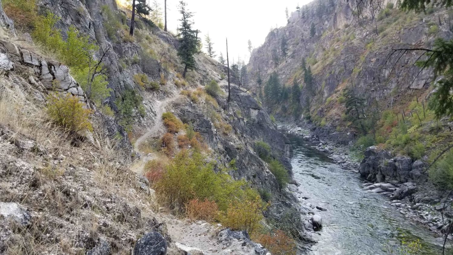 South Fork of the Salmon River Trail