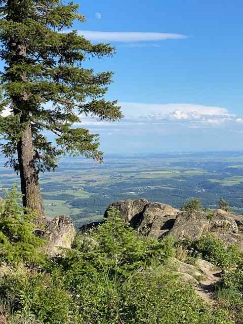 Moscow Mountain Lookout