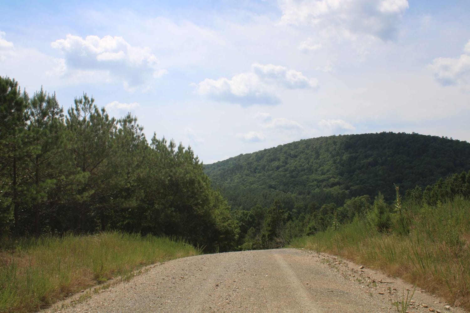 Old North Fork RD