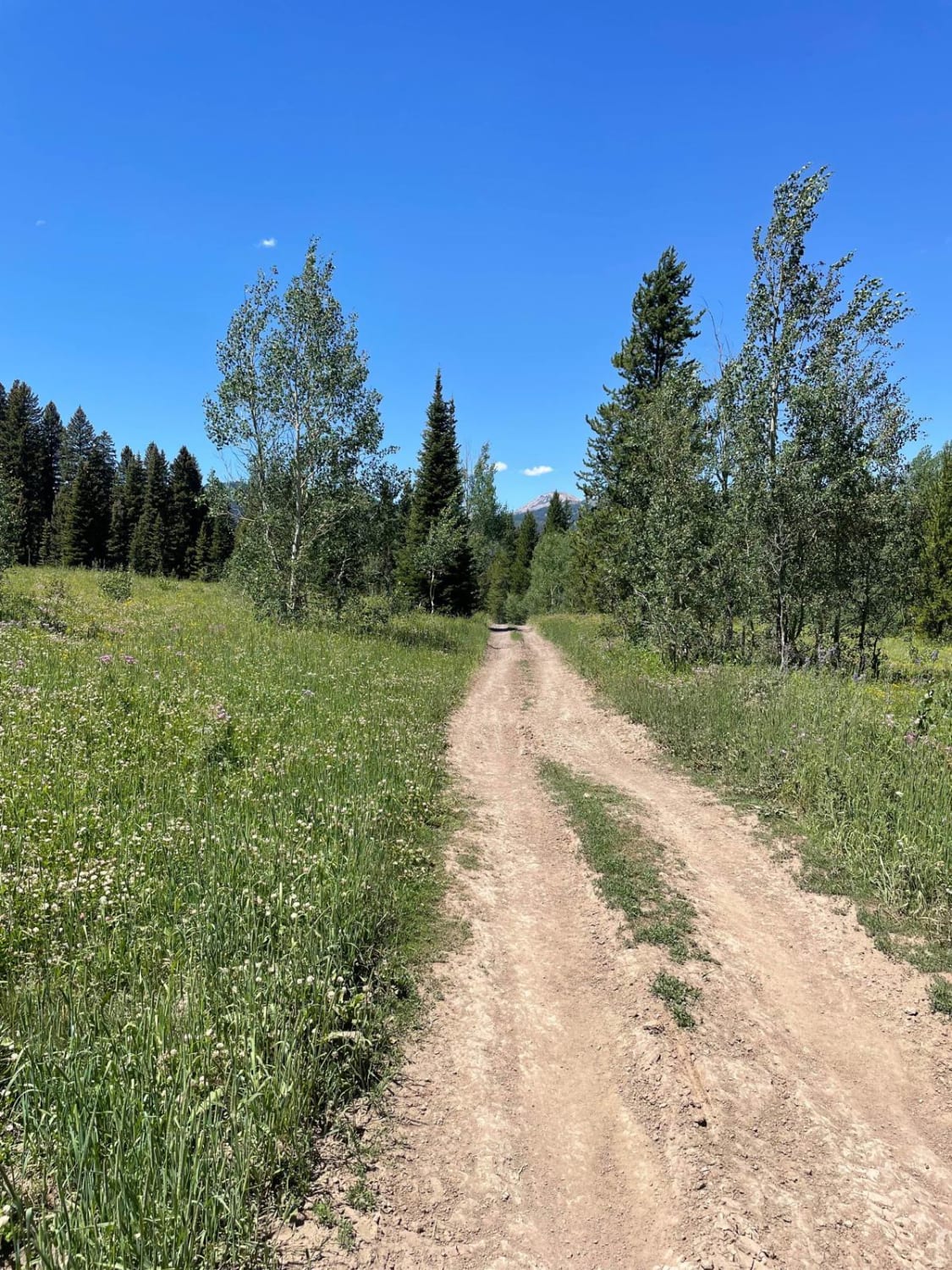 Buttermilk Creek Trail