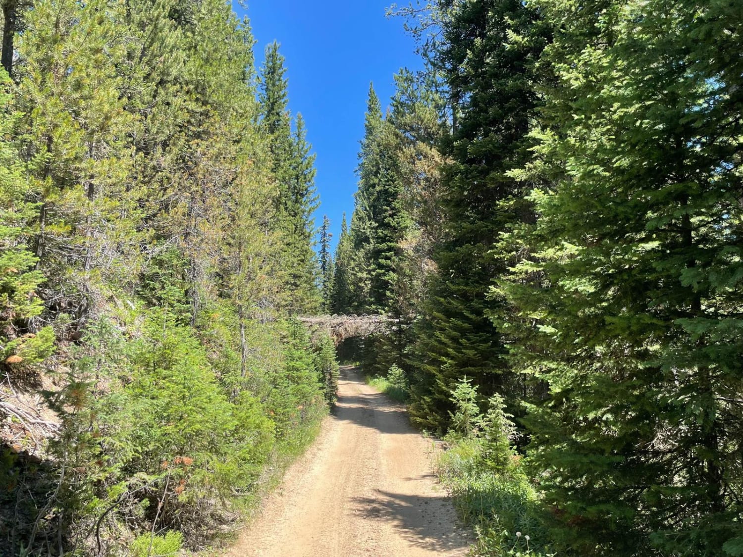 Buttermilk Creek Trail