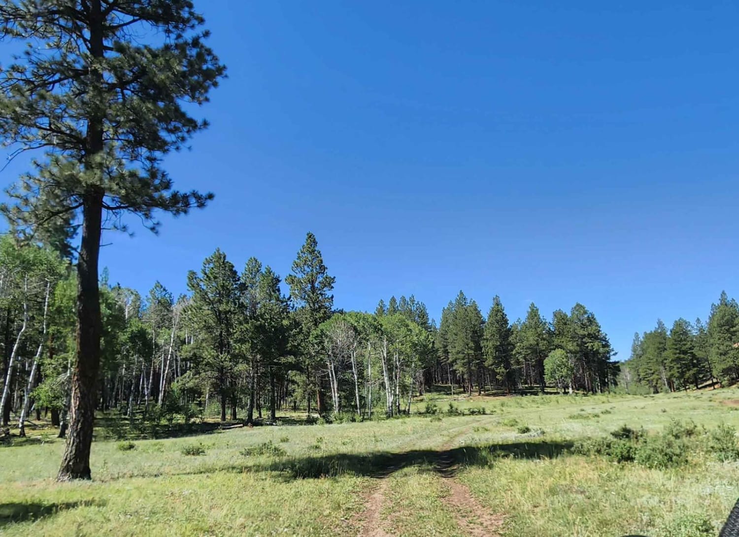 Beaver Point Road Colorado Off Road Trail Map Photos OnX Offroad