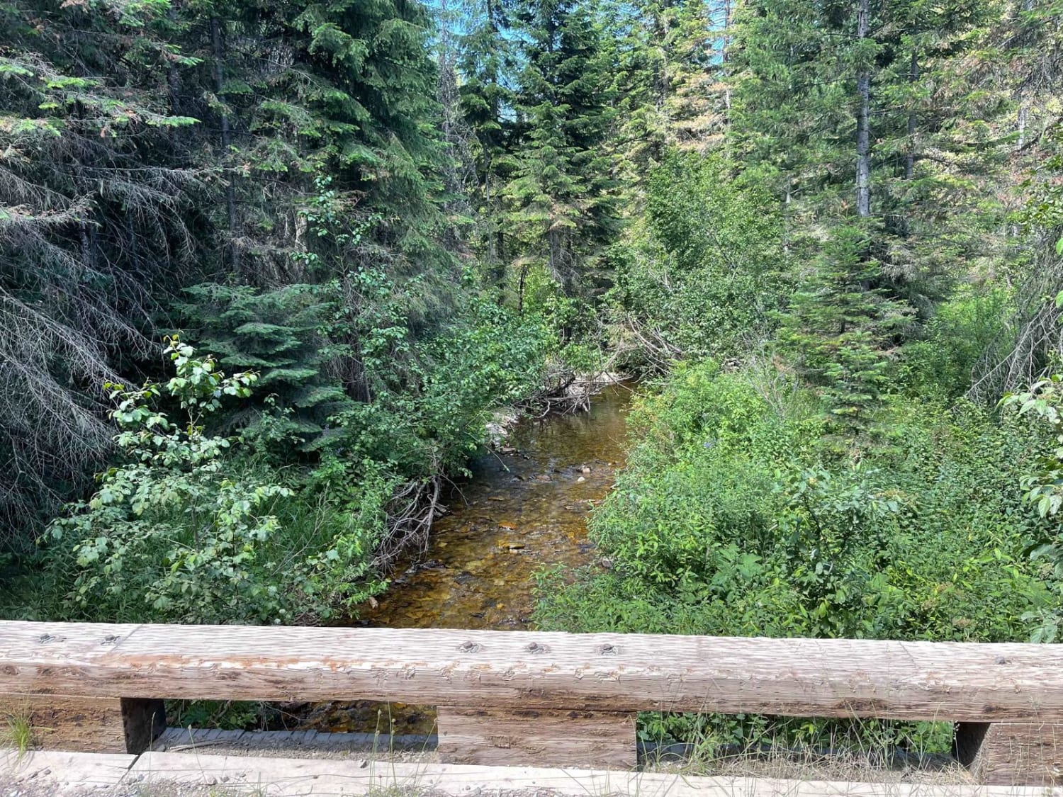 Lone Cabin Creek