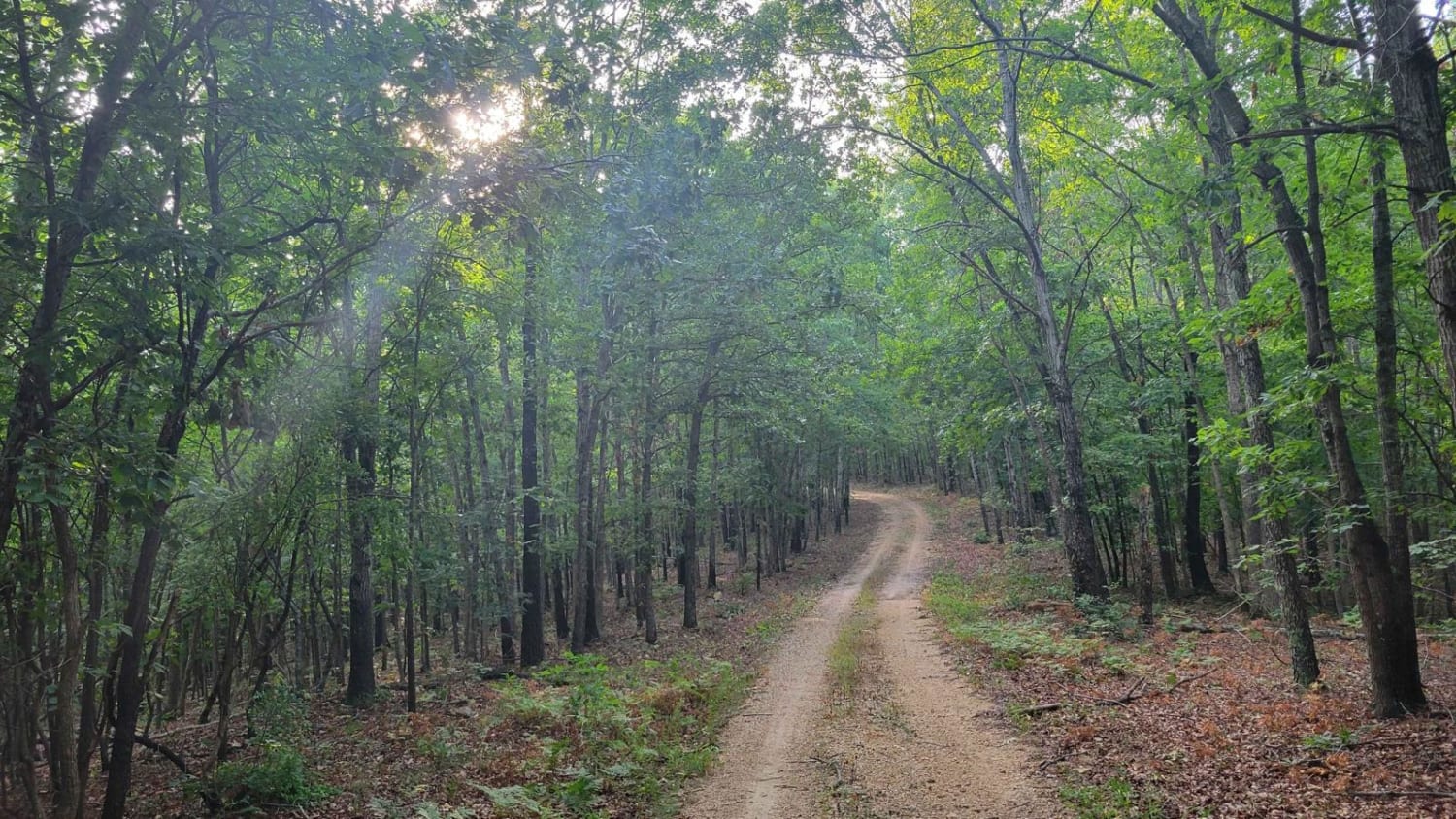 Gooseneck Trail