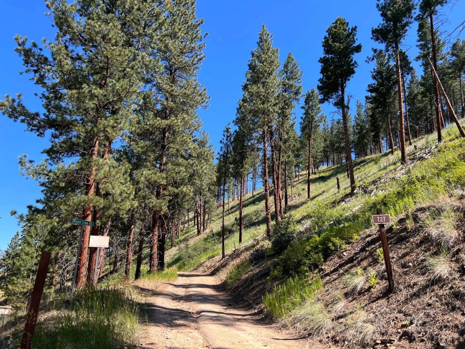 Riemel Trail/ Hiking Trailhead