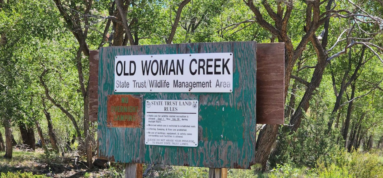 Old Woman Creek