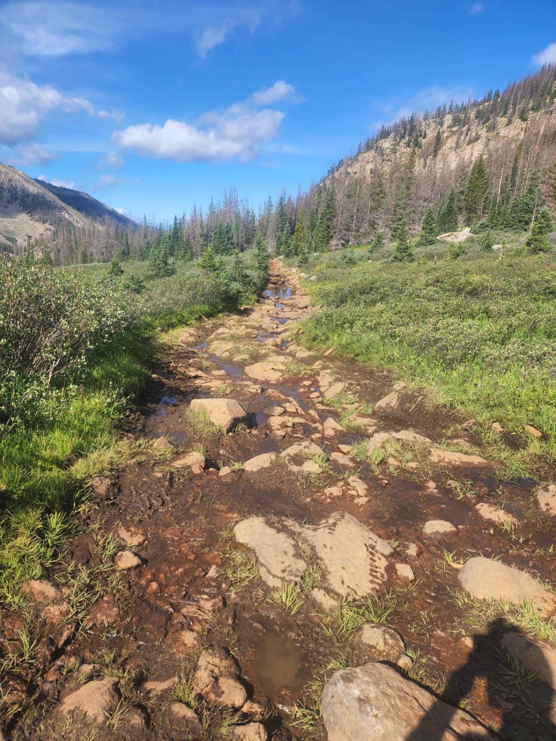 Williams Pass Trail