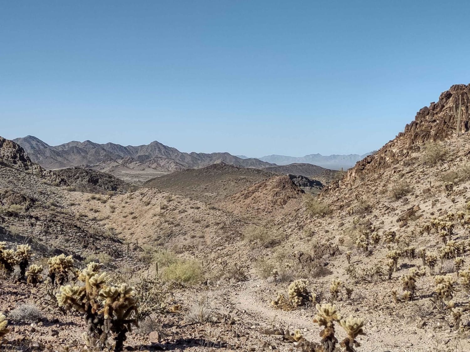 Rockin' Ram Trail