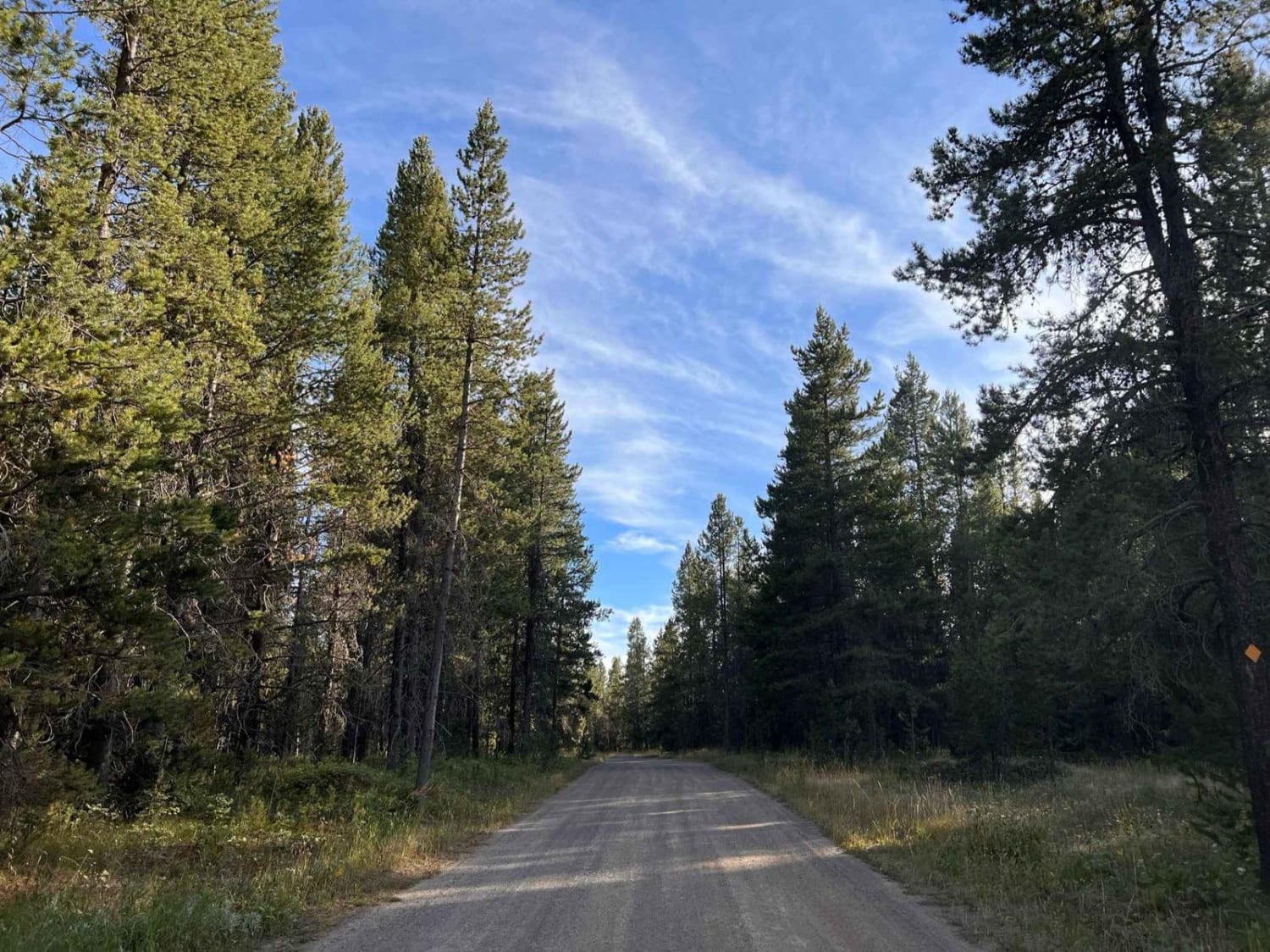 Flat Rock of Potholes